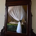 Il Vicario
