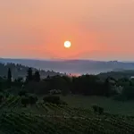 Il Vicario *